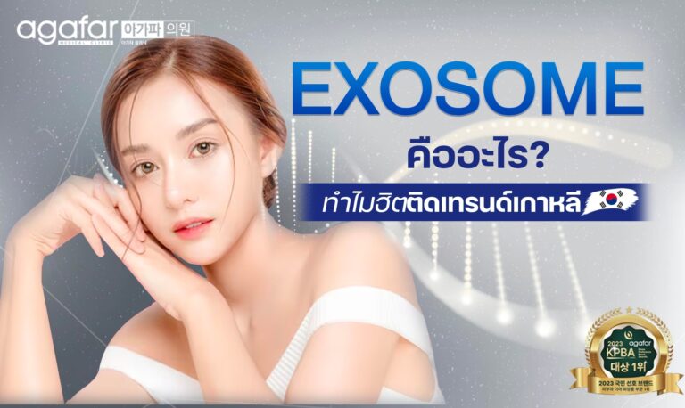 Exosome คืออะไร ทำไมถึงฮิตที่เกาหลี