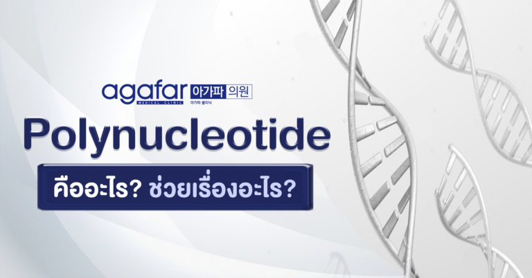 Polynucleotide (โพลินิวคลีโอไทด์) คืออะไร?